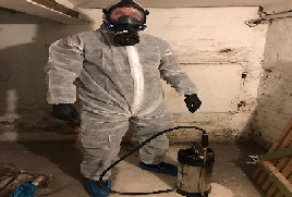 Kammerjaeger-in-Hamburg-Oekokil-zertifizierter-Fachbetrieb11 Kammerjaeger-in-Hamburg-Oekokil-zertifizierter-Fachbetrieb11