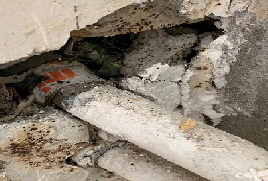 Kammerjaeger-in-Hamburg-Oekokil-zertifizierter-Fachbetrieb12 Kammerjaeger-in-Hamburg-Oekokil-zertifizierter-Fachbetrieb12