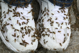 oekokil GmbH oekokil GmbH